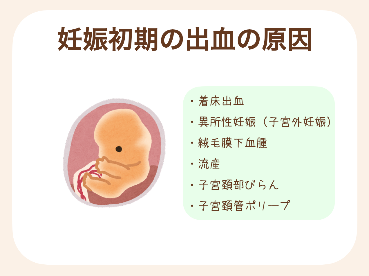 着床出血、異所性妊娠、絨毛膜下血腫、流産、子宮頸部びらん、子宮頸管ポリープ