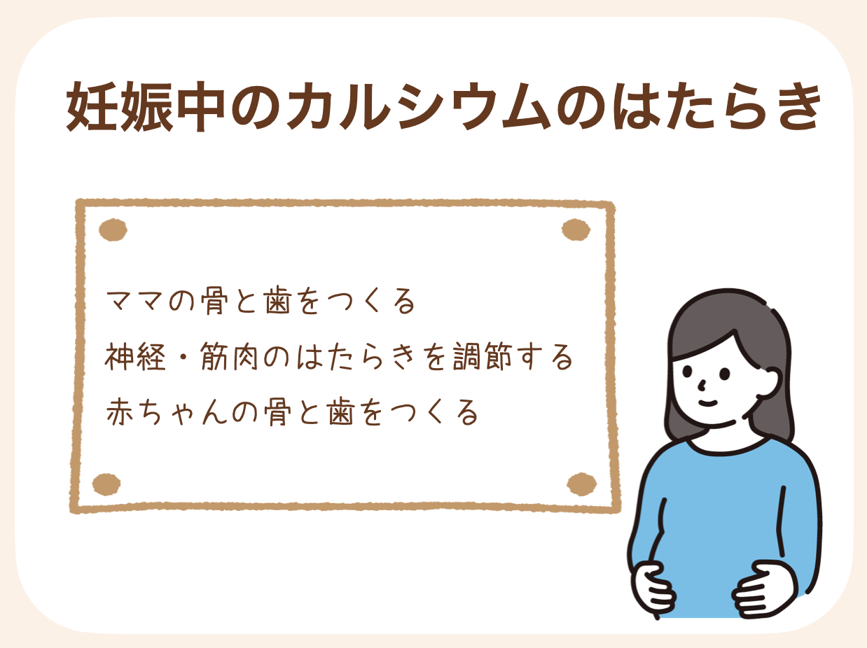 カルシウムは、妊娠中のママとお腹の中の赤ちゃんとって欠かせない栄養素の一つ