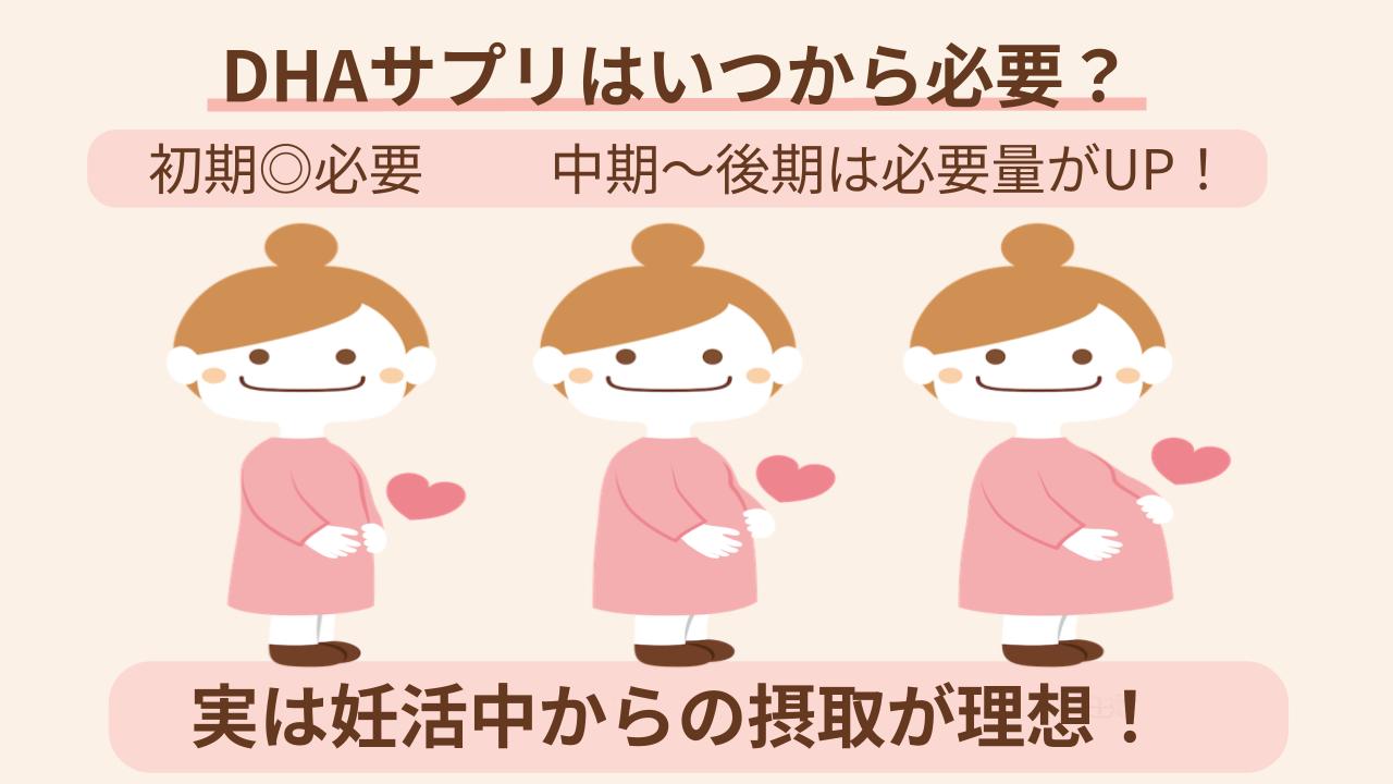 初期～後期まで妊娠をとおしてだけでなく、妊活中から必要！