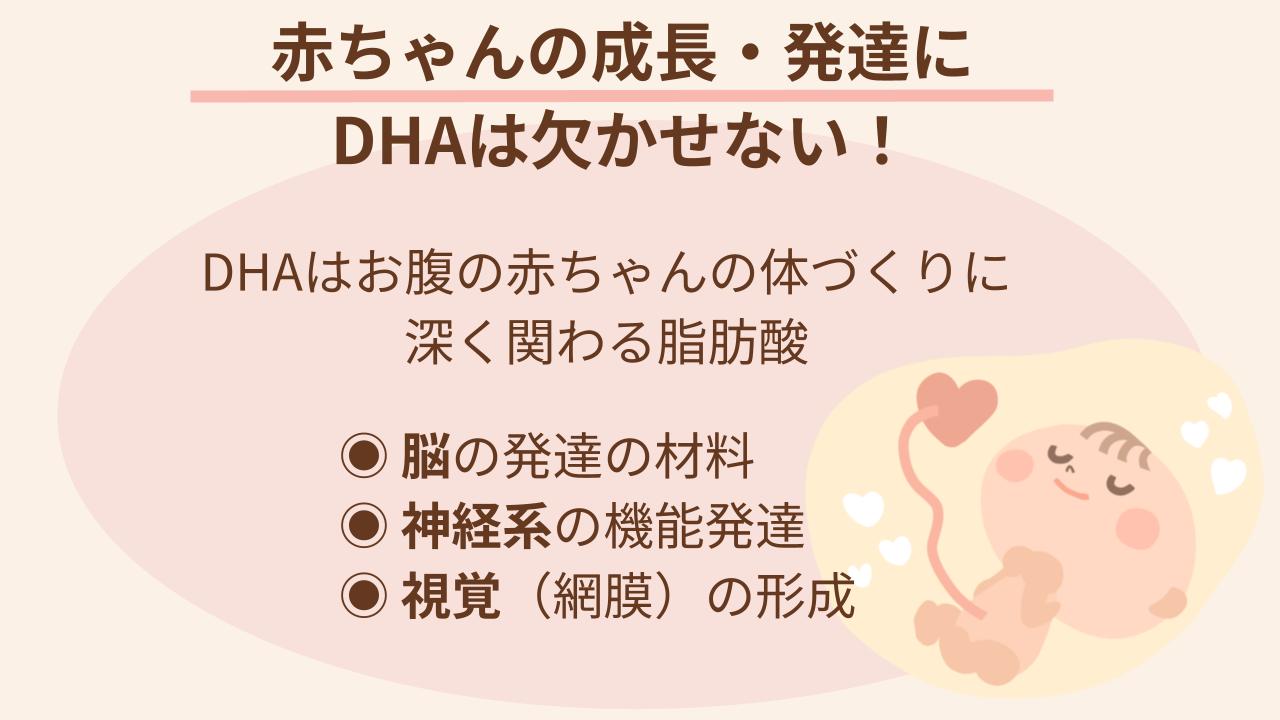 胎児の脳・神経・網膜の成長に必須
