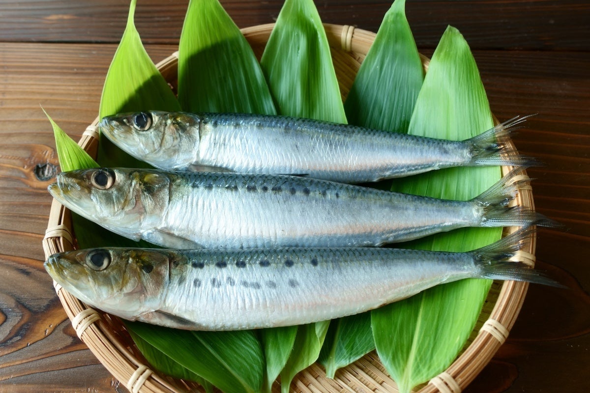 身近な青魚は過度に心配する必要はありません