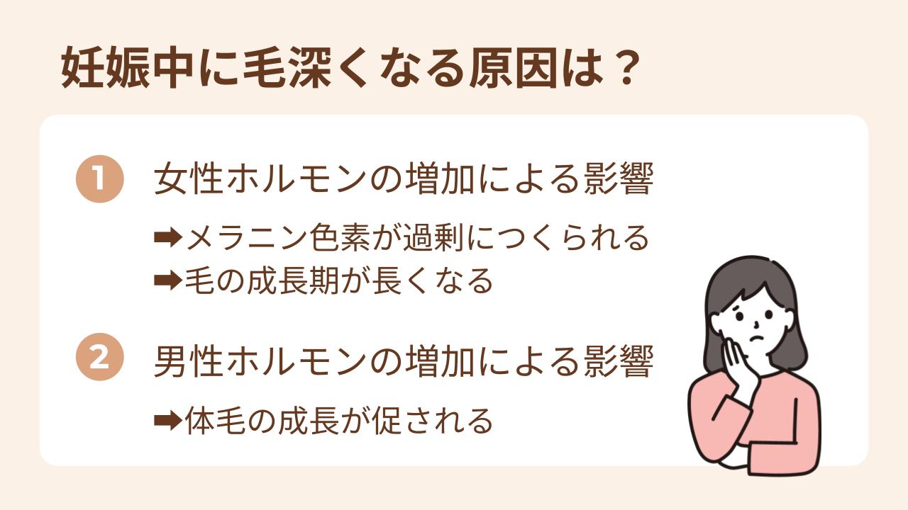 妊娠中に毛深くなるのは女性ホルモンと男性ホルモンが増加する影響