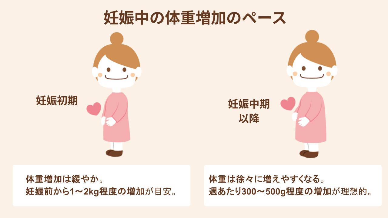 妊娠初期・中期以降の体重増加のペース