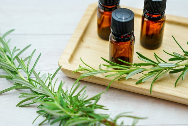 ローズマリーの葉と精油