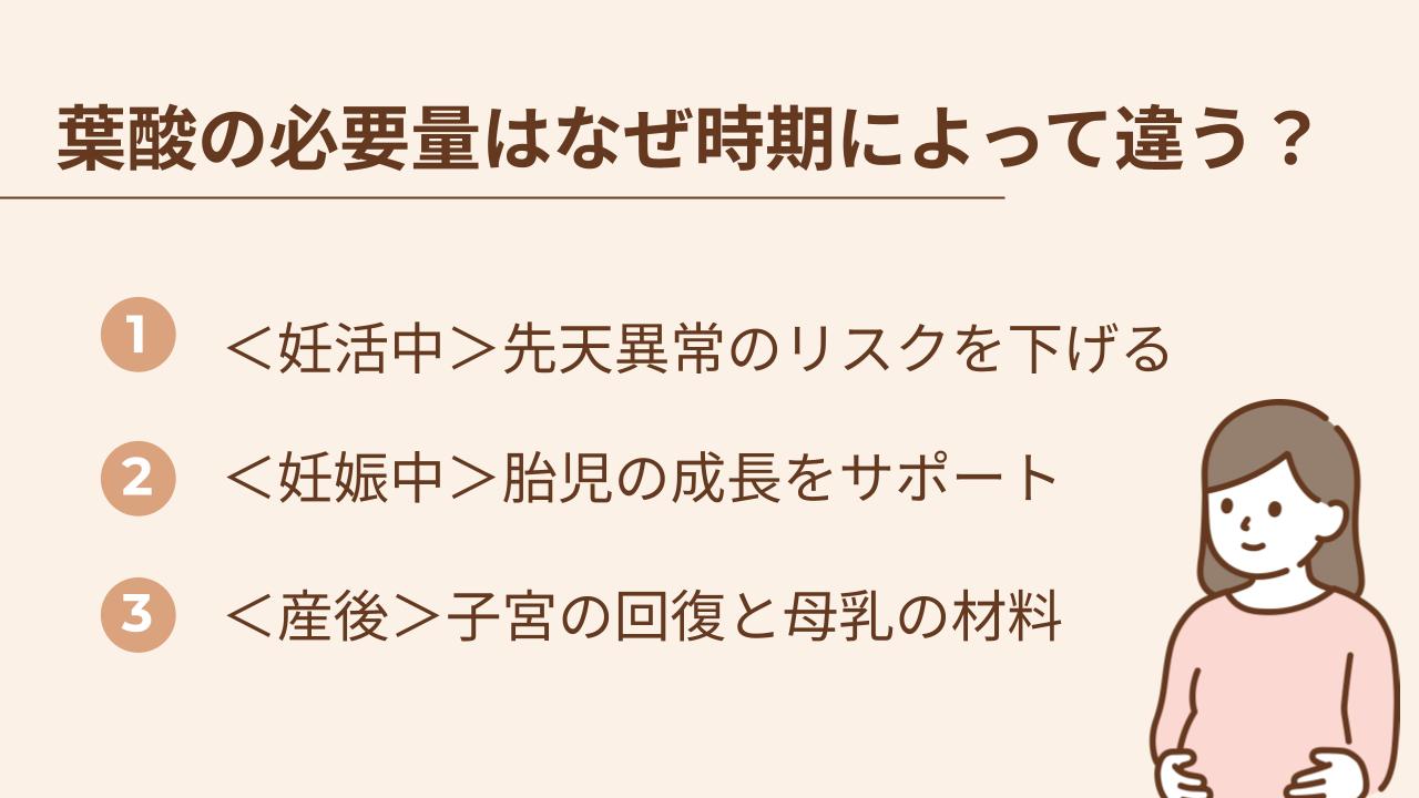葉酸は、妊活中は先天異常のリスクを下げる、妊娠中は胎児の成長をサポートする、産後は子宮の回復と母乳の材料に必要