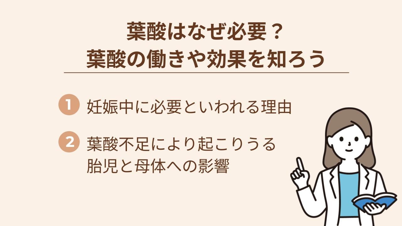 葉酸が不足すると胎児と母体に影響がでる