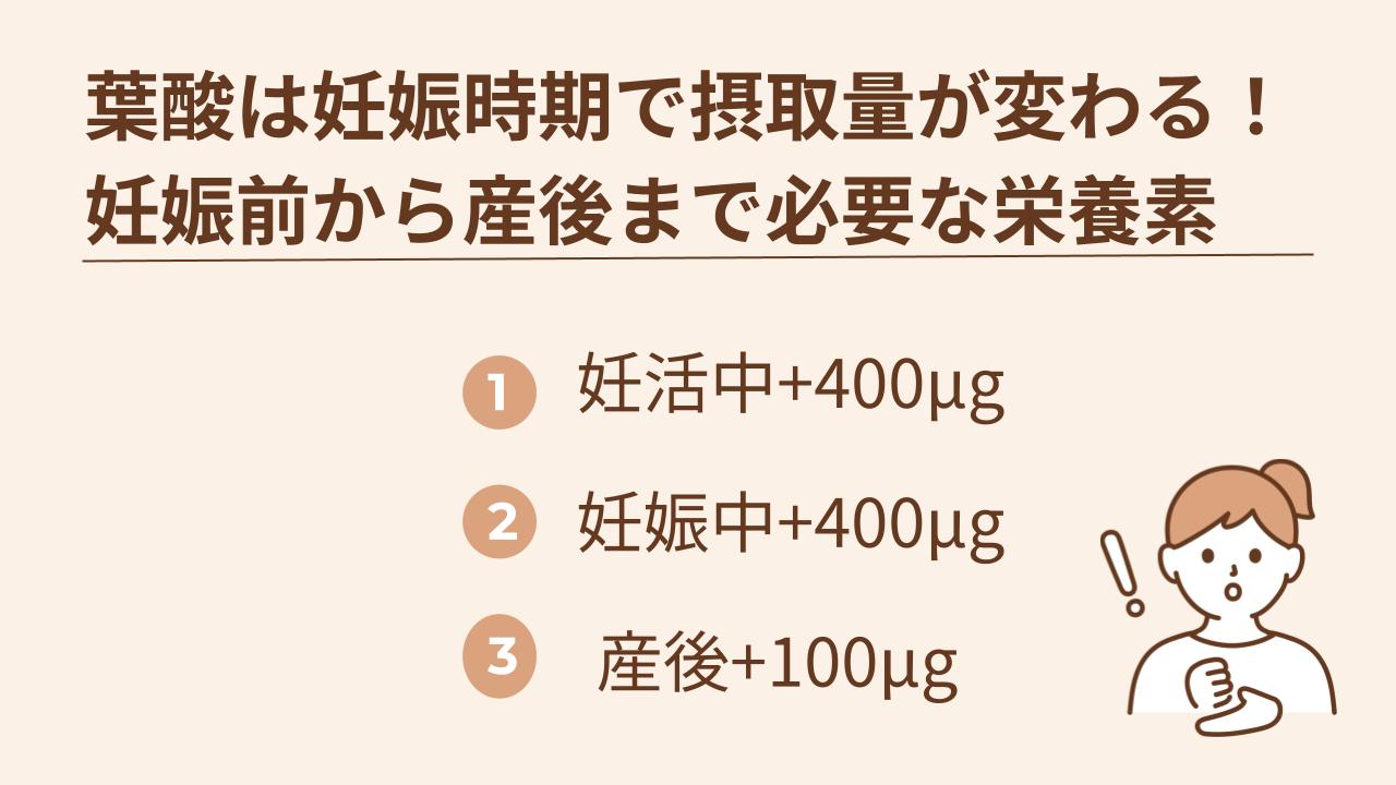妊活中～妊娠中は＋400μg、産後は＋100μgの葉酸が必要。妊娠時期に見合った葉酸を摂ろう