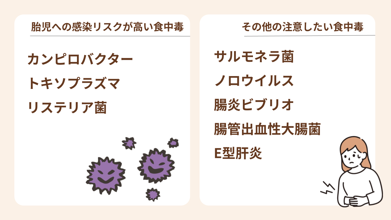 カンピロバクターやリステリア菌は胎児への感染リスクが高い食中毒