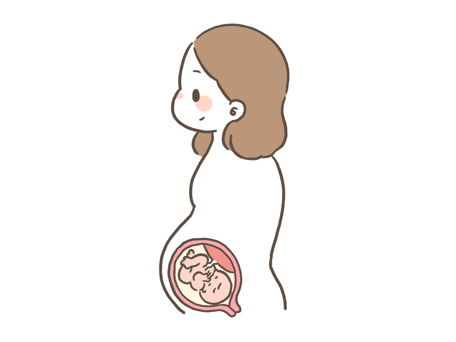 妊娠中に頻尿になる原因：膀胱が子宮に圧迫されるから