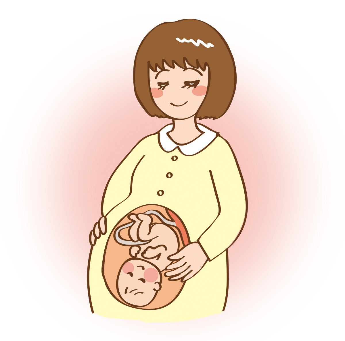 妊娠中に頻尿になる原因：血液量が増えるから