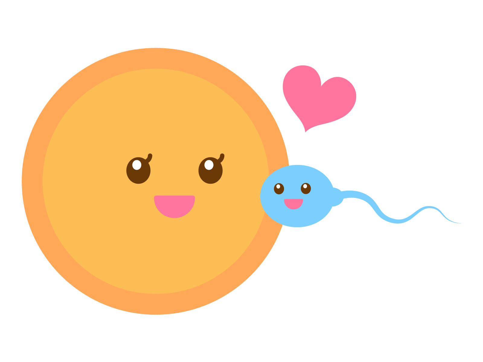 40代では卵子が損傷してしまうリスクがあり、それが質の低下につながってしまいます。質の低い卵子で受精すると、受精卵が染色体異常を起こすリスクが高くなってしまいます。40代の流産の80％は染色体異常が原因です。