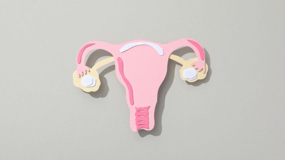 女性ホルモンの増加に伴いおりものが変化します