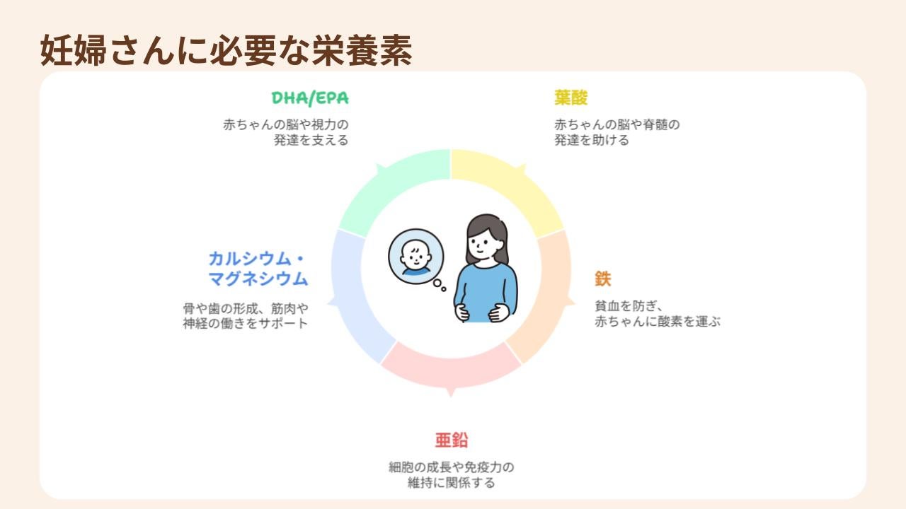 葉酸、亜鉛など