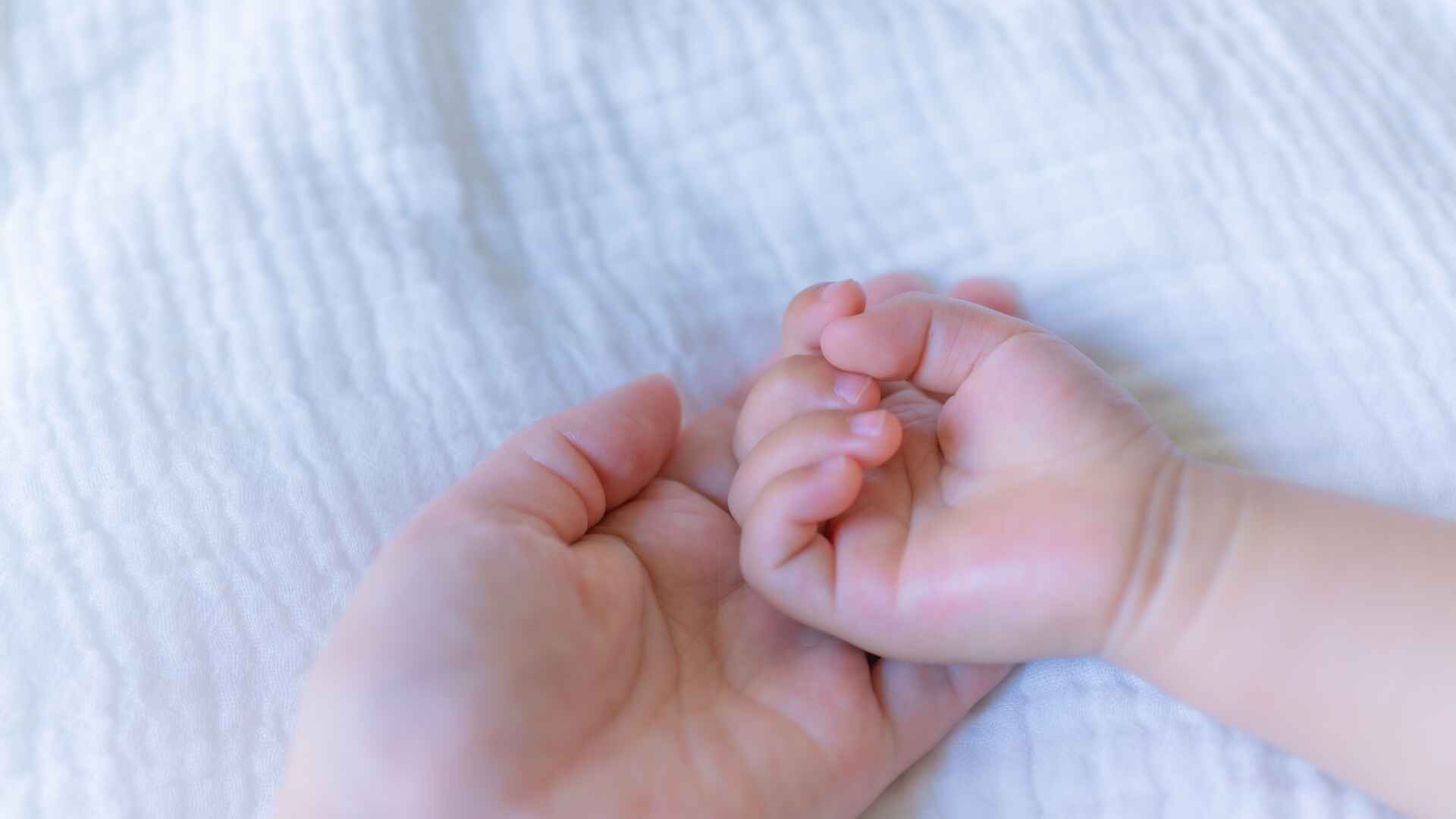 食物繊維を摂ることで、赤ちゃんに生じる影響を紹介