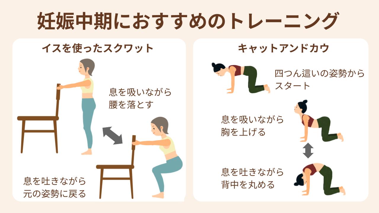 妊娠中期はイスを使ったスクワットやキャットアンドカウがおすすめ