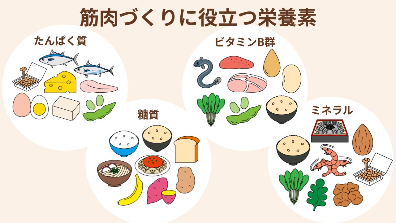 筋肉の回復や成長をサポートする栄養素とそれを含む食べ物