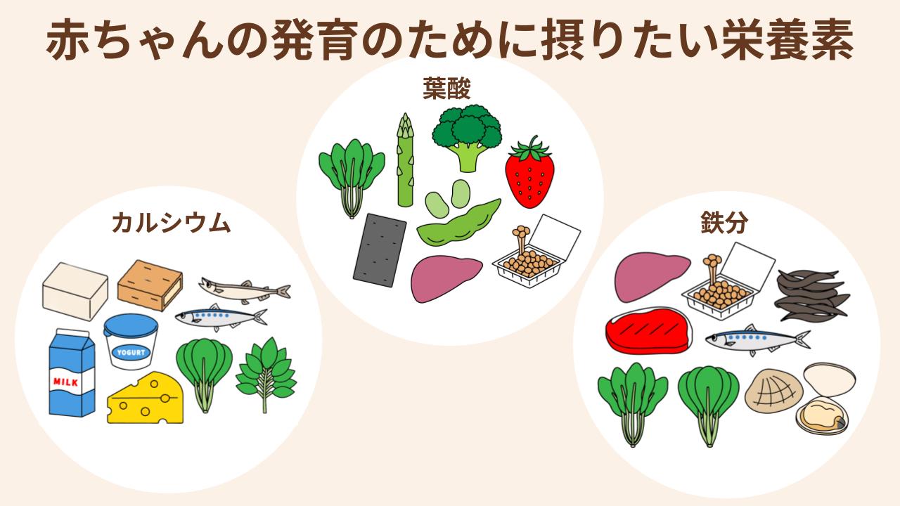 赤ちゃんの発育をサポートする栄養素とそれを含む食べ物
