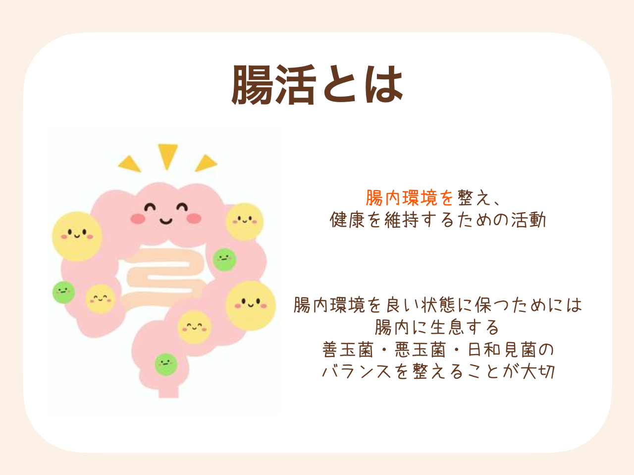 腸内環境を整え、健康を維持するための活動