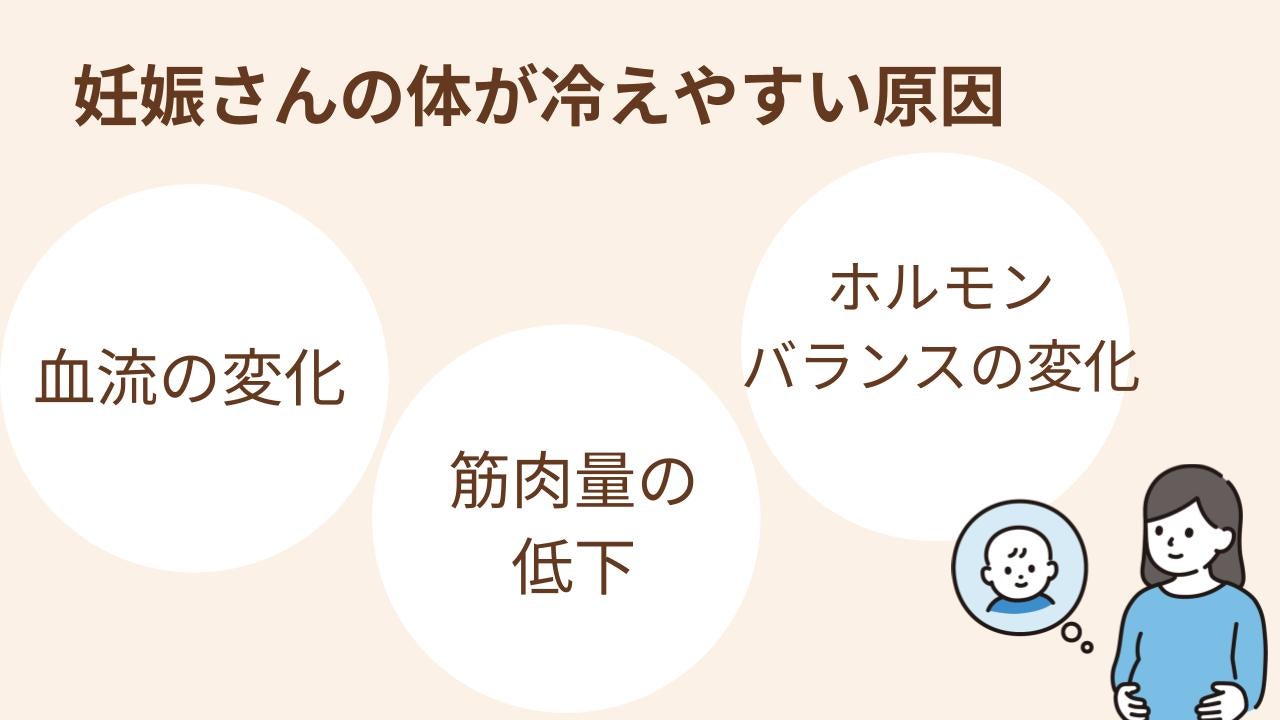 妊娠さんの体が冷えやすい原因は、血流の変化・ホルモンバランスの変化・筋肉量の低下です。