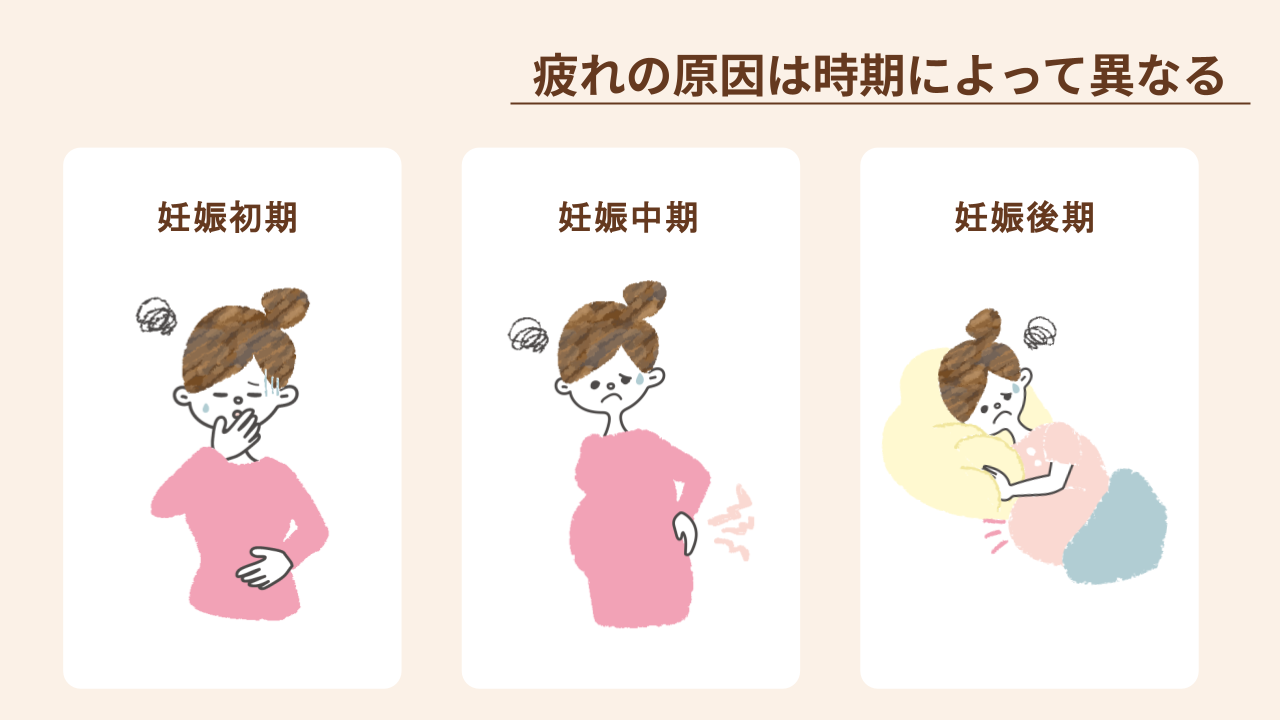 時期別（初期・中期・後期）の妊婦さんが疲れやすい原因