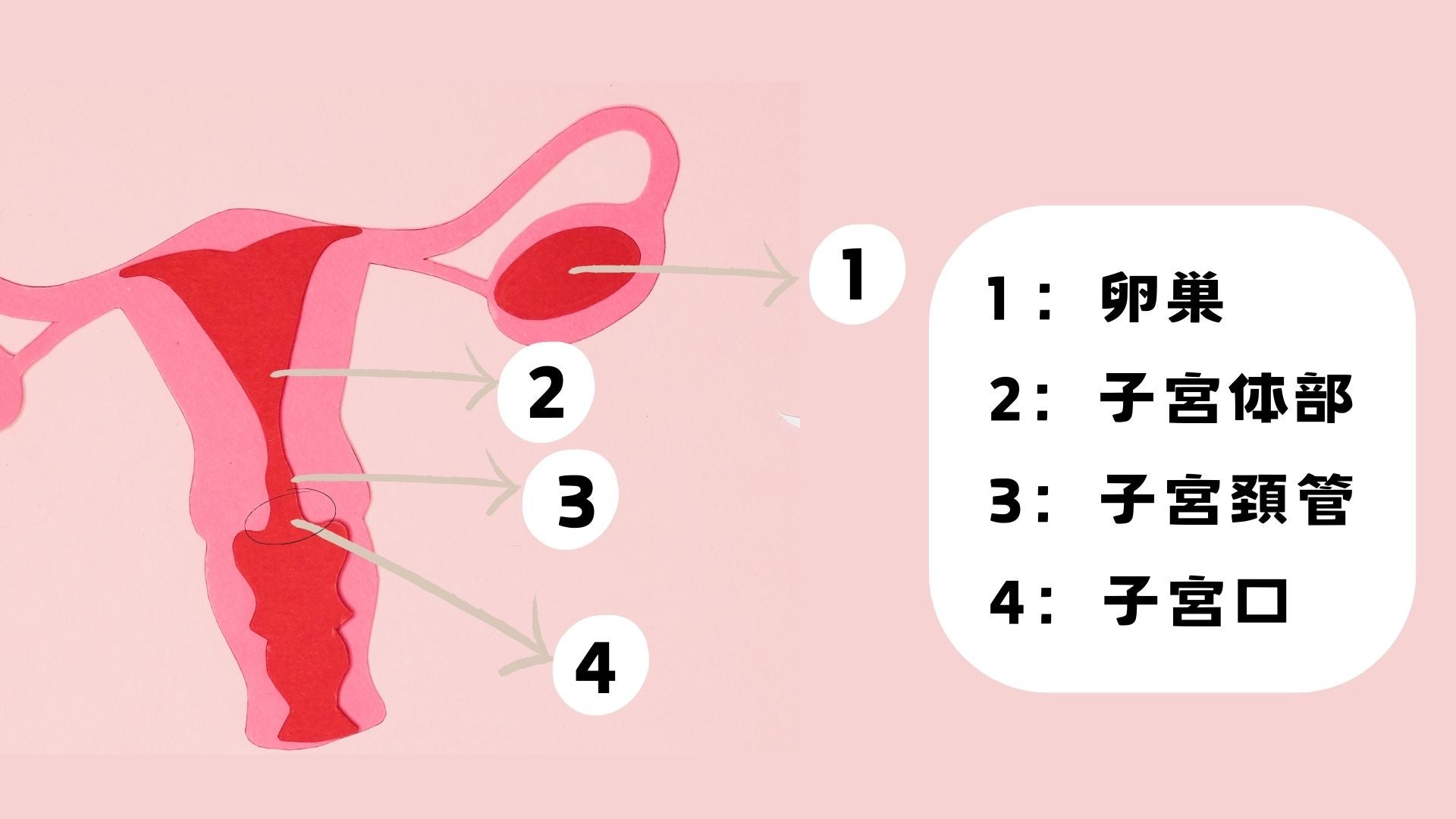 それぞれの名称の名前