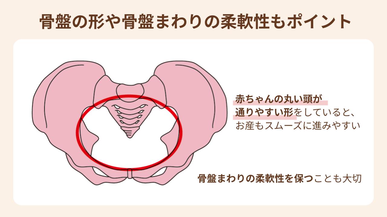 赤ちゃんが通りやすい骨盤の形をしている方がお産がスムーズに進む
