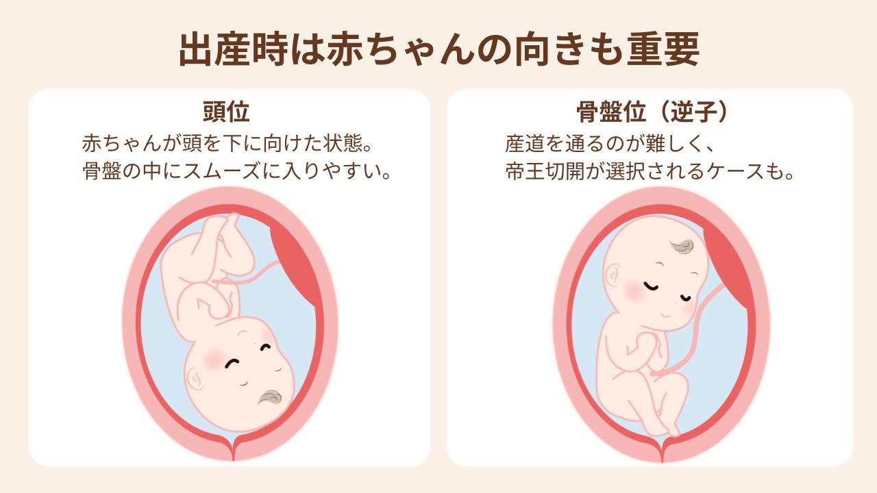 赤ちゃんが頭を下に向けた姿勢は、骨盤の中にスムーズに入りやすくお産が順調に進む