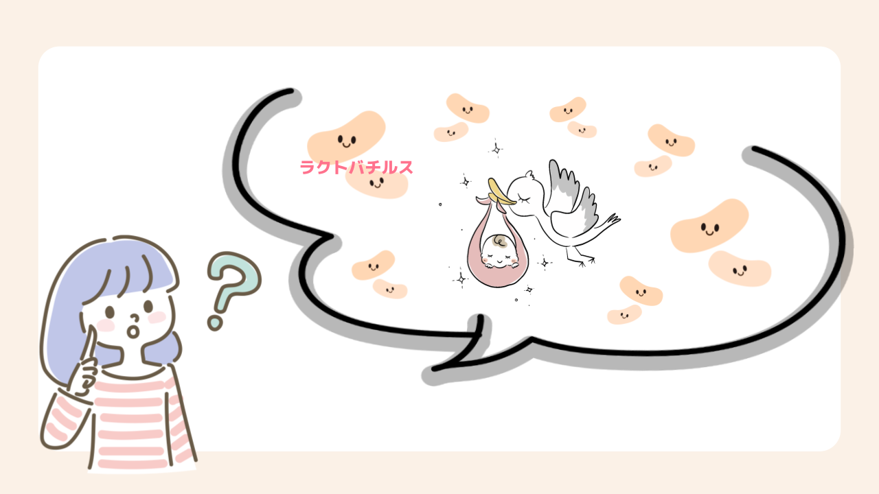 プロバイオティクス（ラクトバチルス）が妊活によいとされる理由