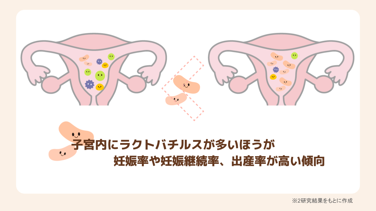 ラクトバチルスと子宮内フローラの研究結果
