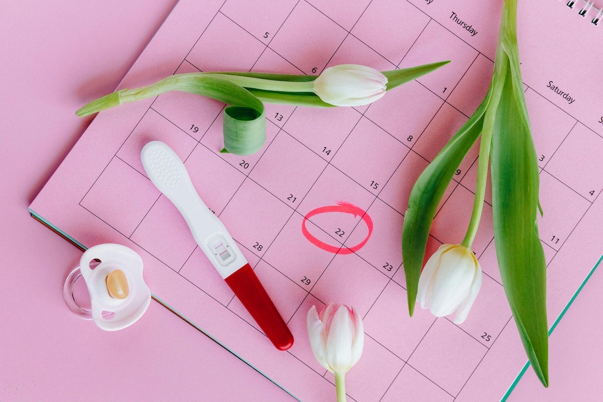 プロゲステロンは、妊娠を成立・維持するために欠かせないホルモン