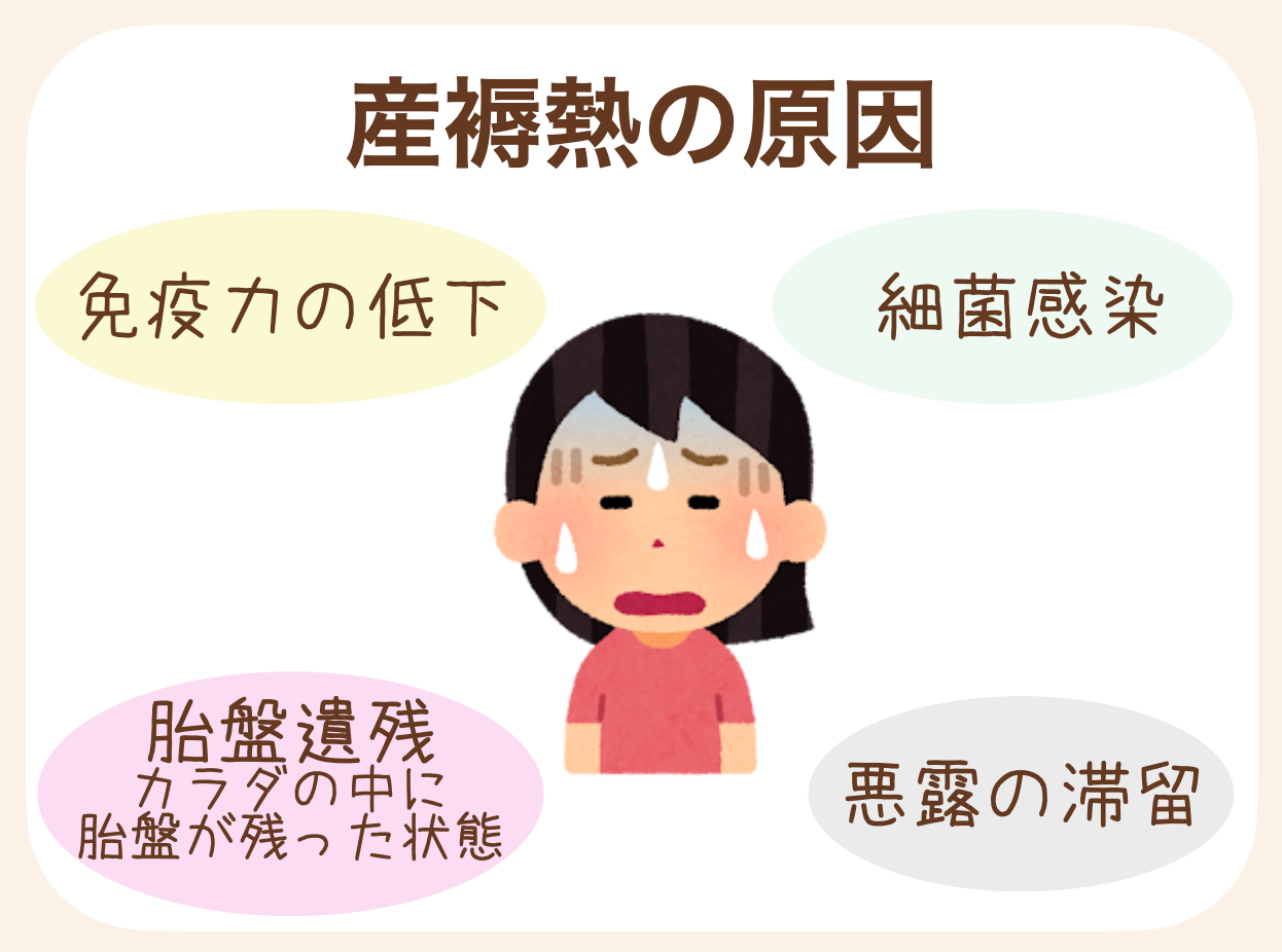 免疫力の低下、細菌感染、胎盤遺残、悪露の滞留