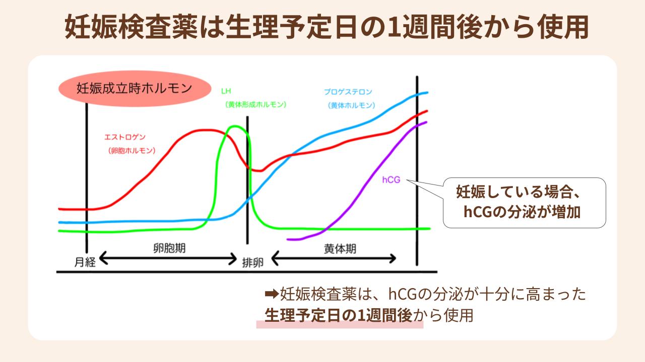 妊娠検査薬は生理予定日の1週間後から使用