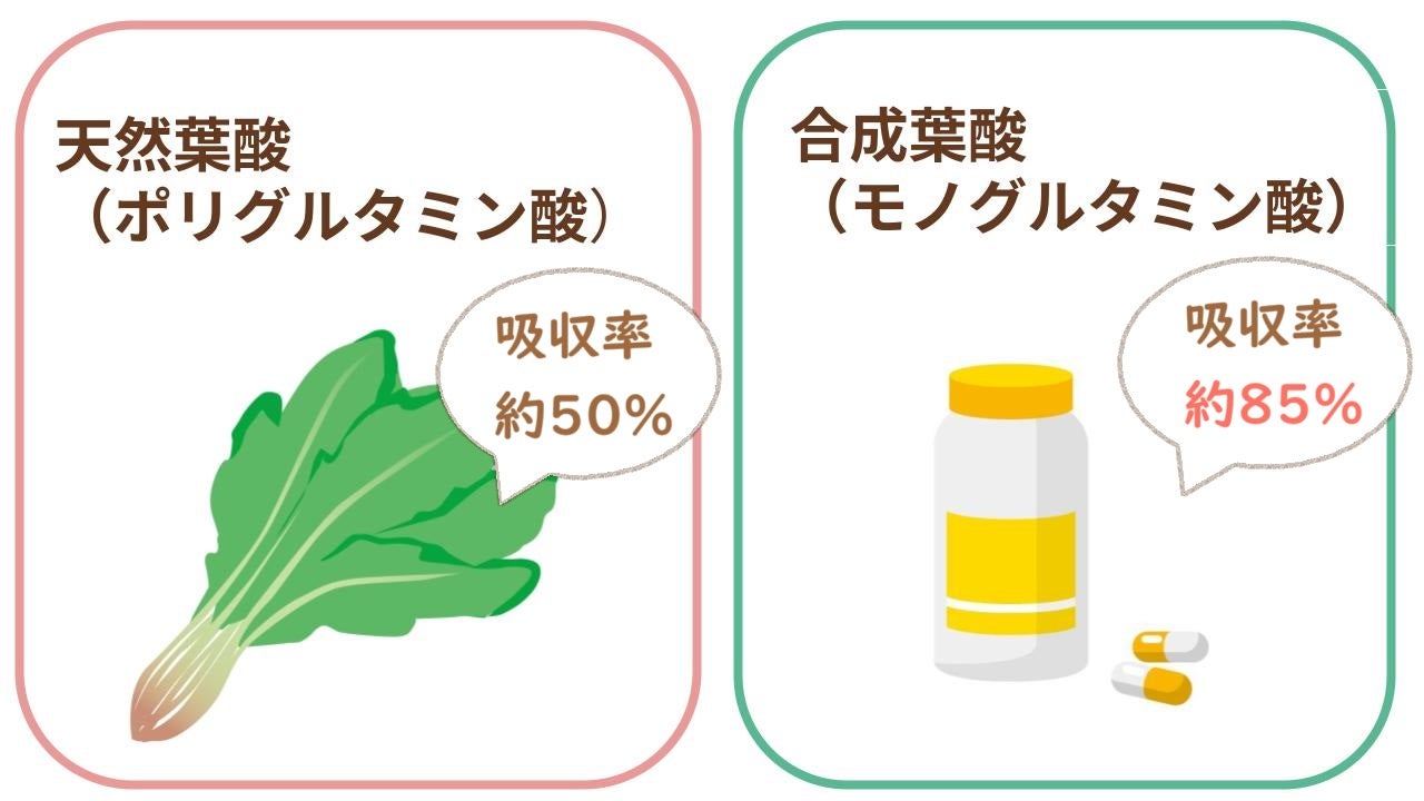 食べ物に含まれる天然葉酸は体内の吸収率が約50％と低い、一方でサプリメントに含まれる合成葉酸の吸収率は約85％と高い