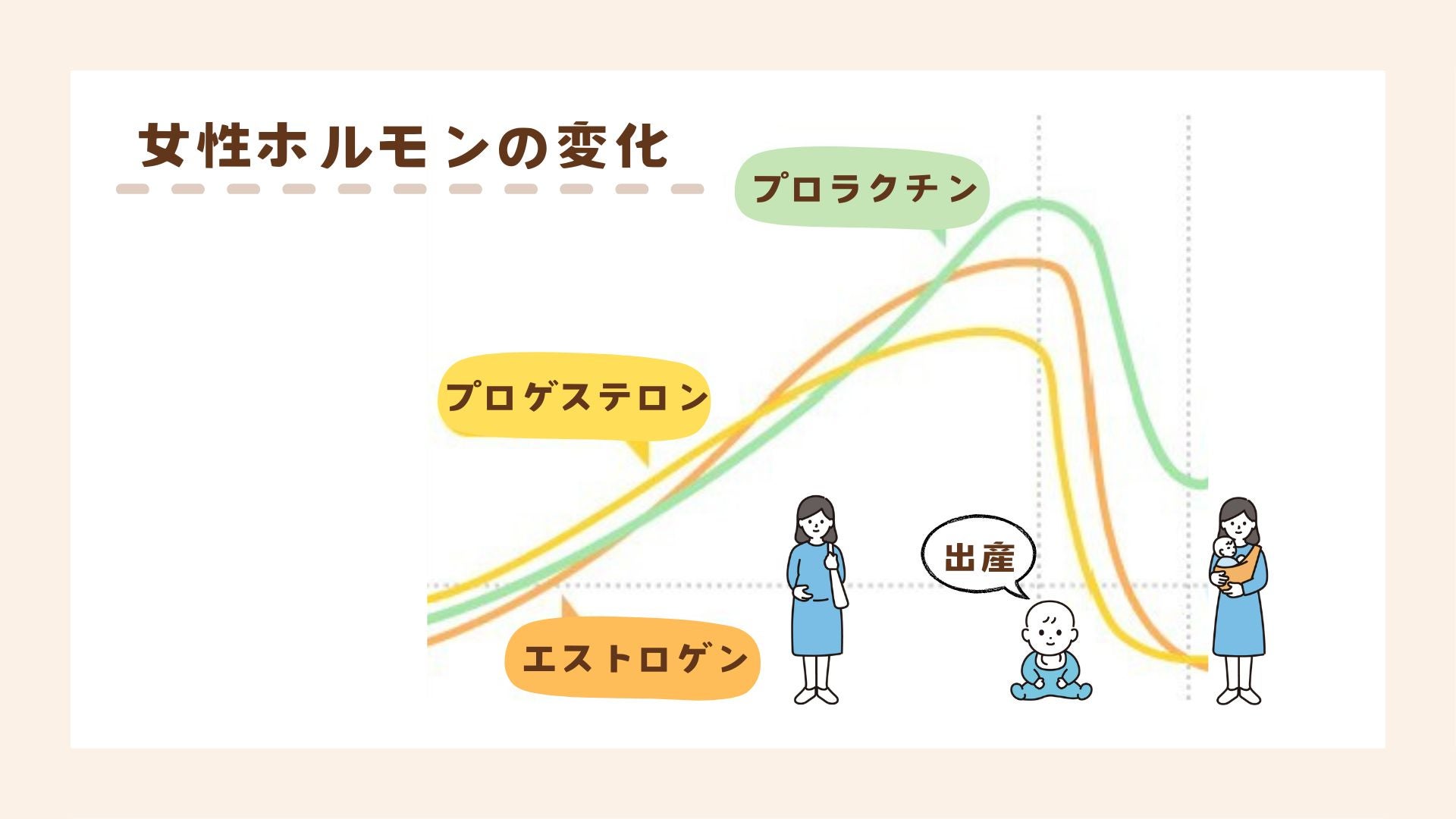 妊娠中はエストロゲンとプロゲステロンの分泌が多い。産後はこれらのホルモンの分泌が急激に減少する