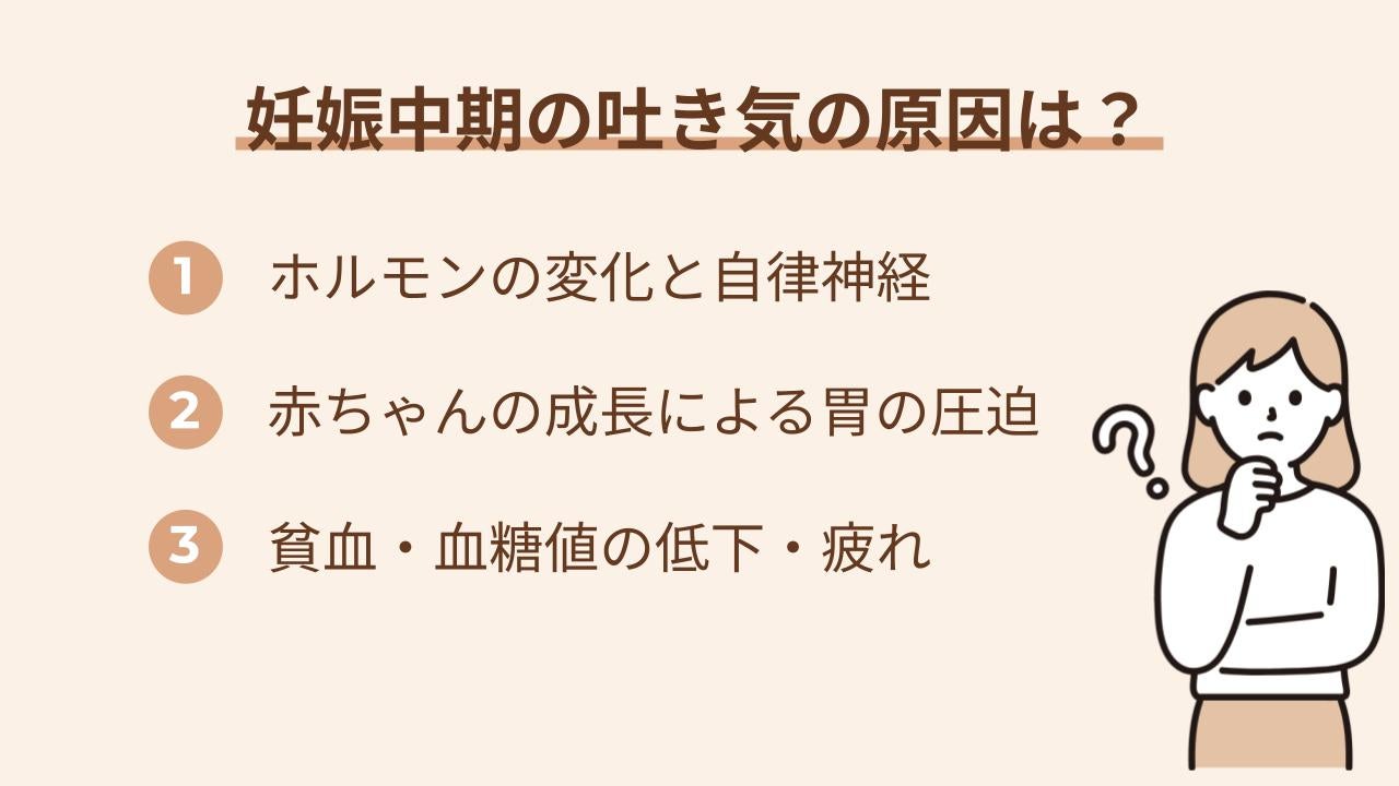 ホルモンや貧血、子宮による胃の圧迫