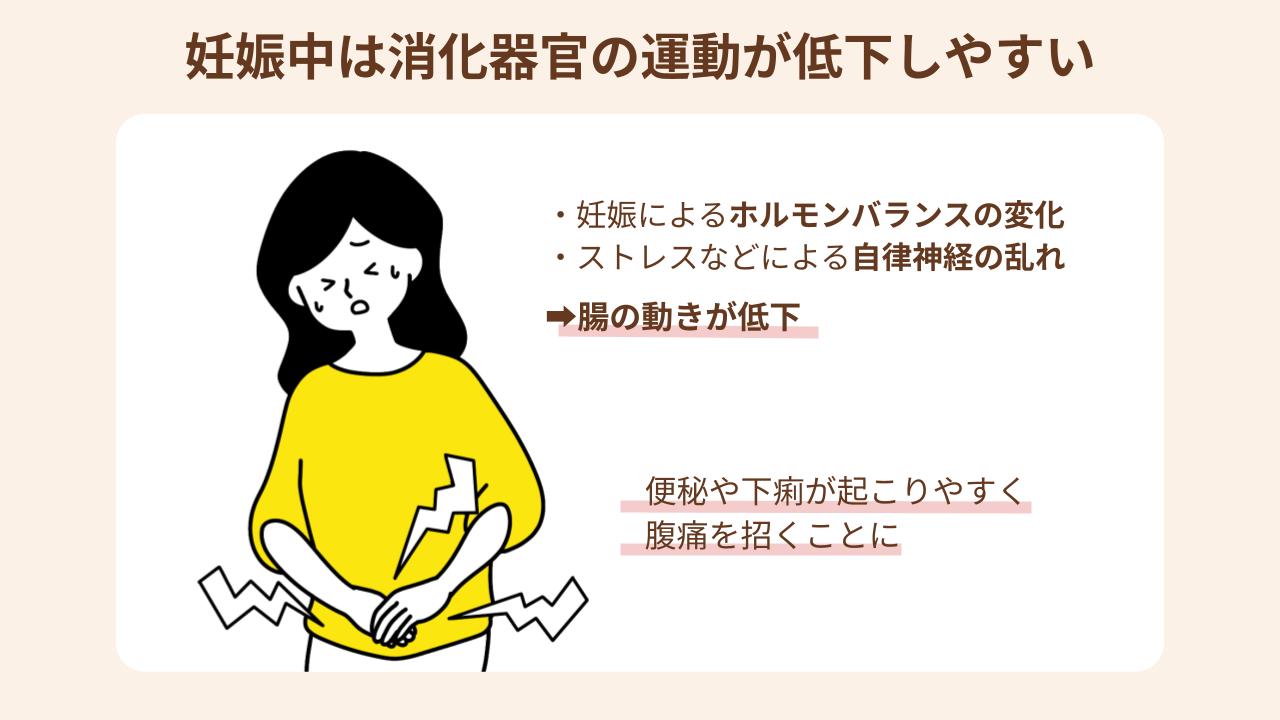 妊娠中は腸の動きが低下することで、腹痛を感じやすい