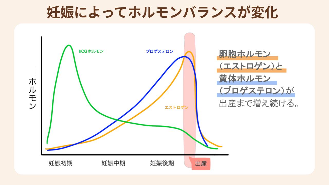 出産まで急増する女性ホルモンがつわりに影響