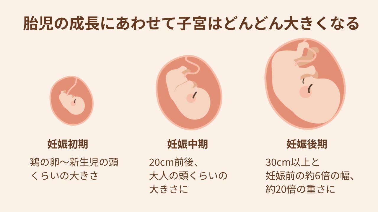 胎児の成長にあわせて子宮が大きくなり、胃腸を圧迫する