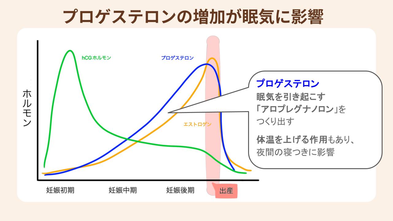 妊娠中に急増する黄体ホルモン（プロゲステロン）が眠気を引き起こす