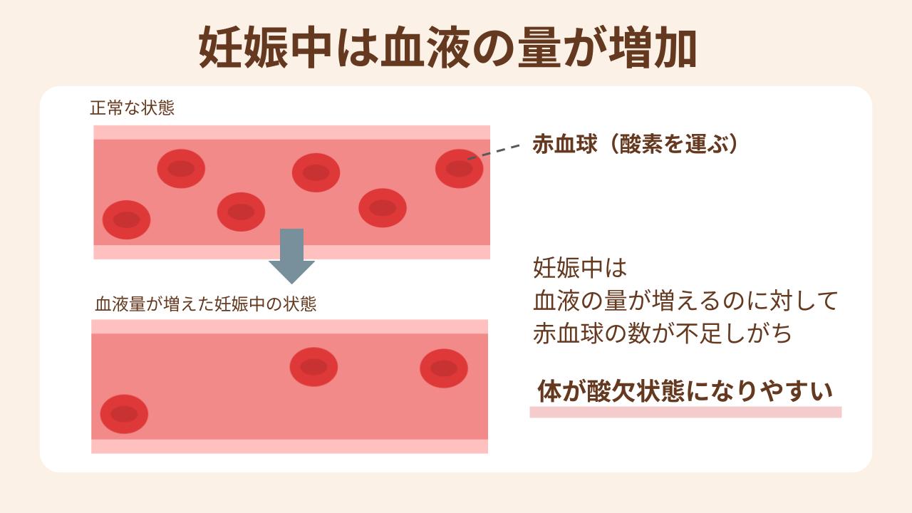 血液量が増えるのに対して赤血球の数が不足。体に酸素が運ばれず酸欠状態になりやすい