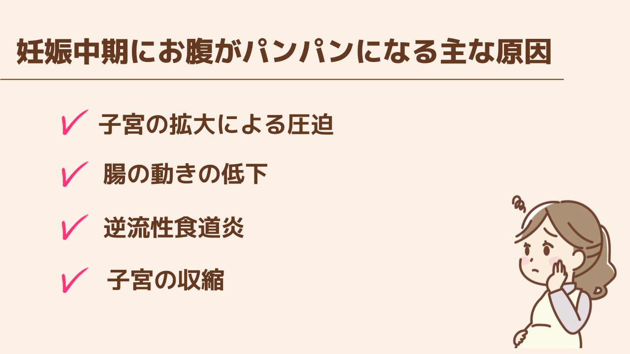 妊娠中期にお腹がパンパンになる主な原因