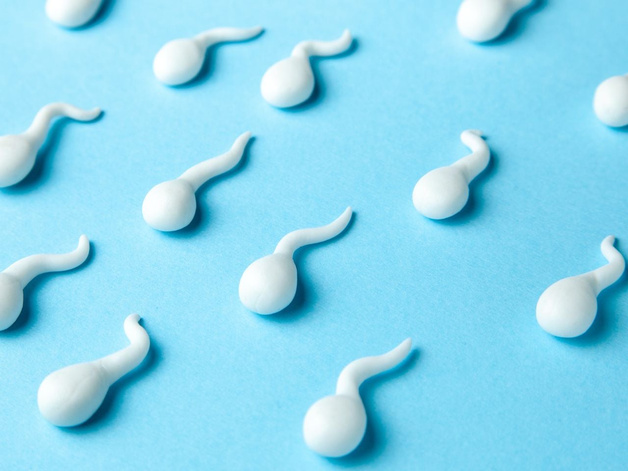 精子は熱に弱い