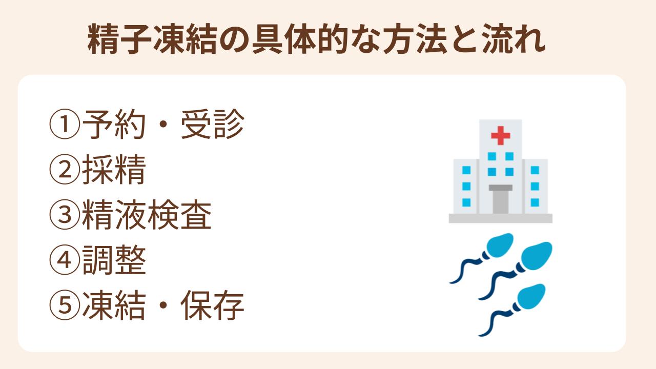 予約受診、採精子、精液検査、調整、凍結保存