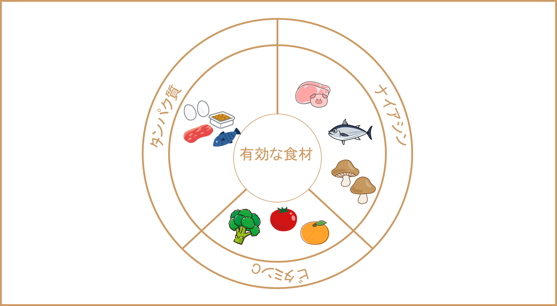 タンパク質、ナイアシン、ビタミンCそれぞれが多く含まれている食べ物についてのグラフ