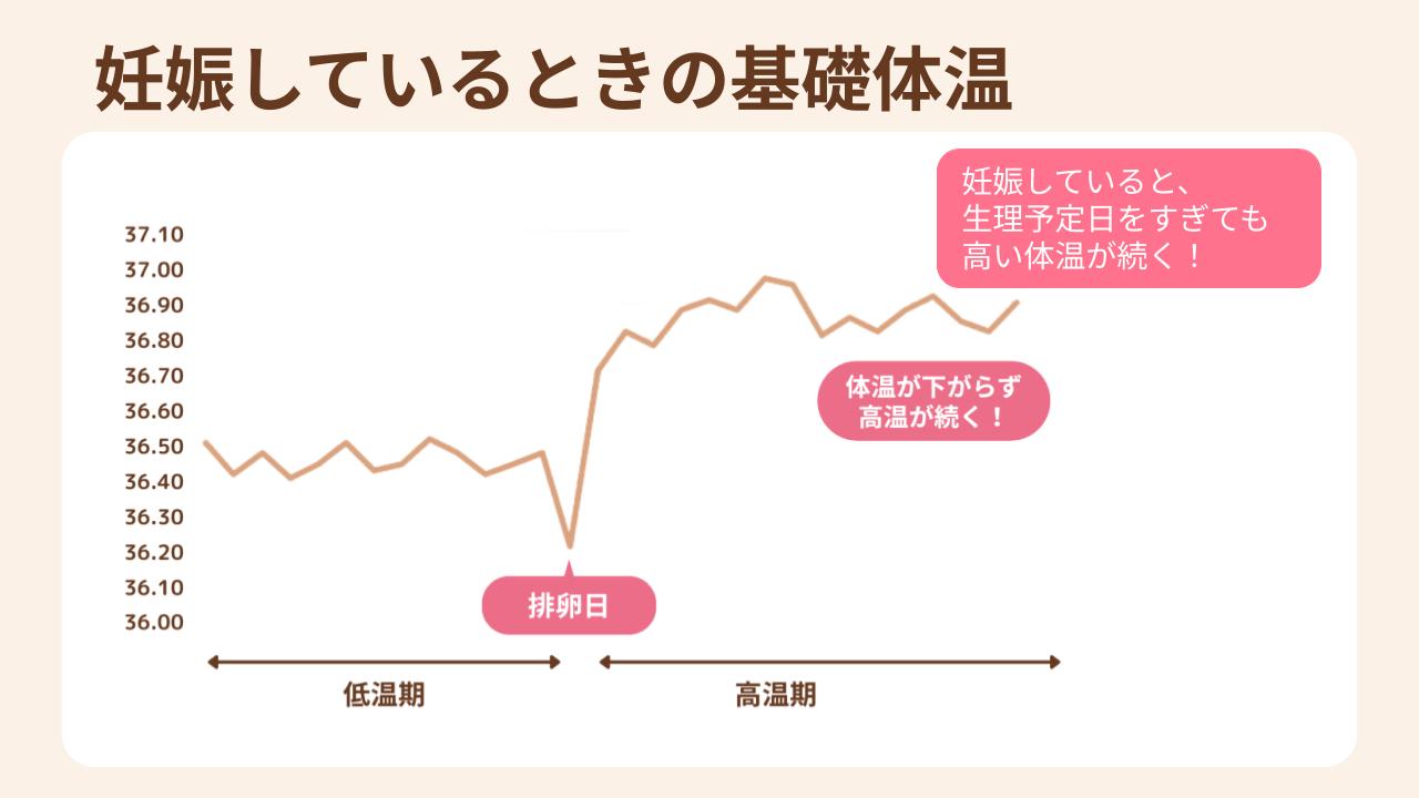 妊娠していると基礎体温は高温の状態が続く