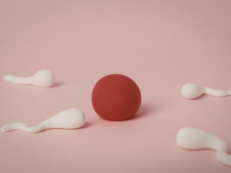 卵子の質の低下