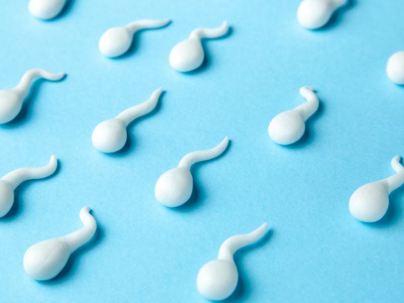 精子の量など減少