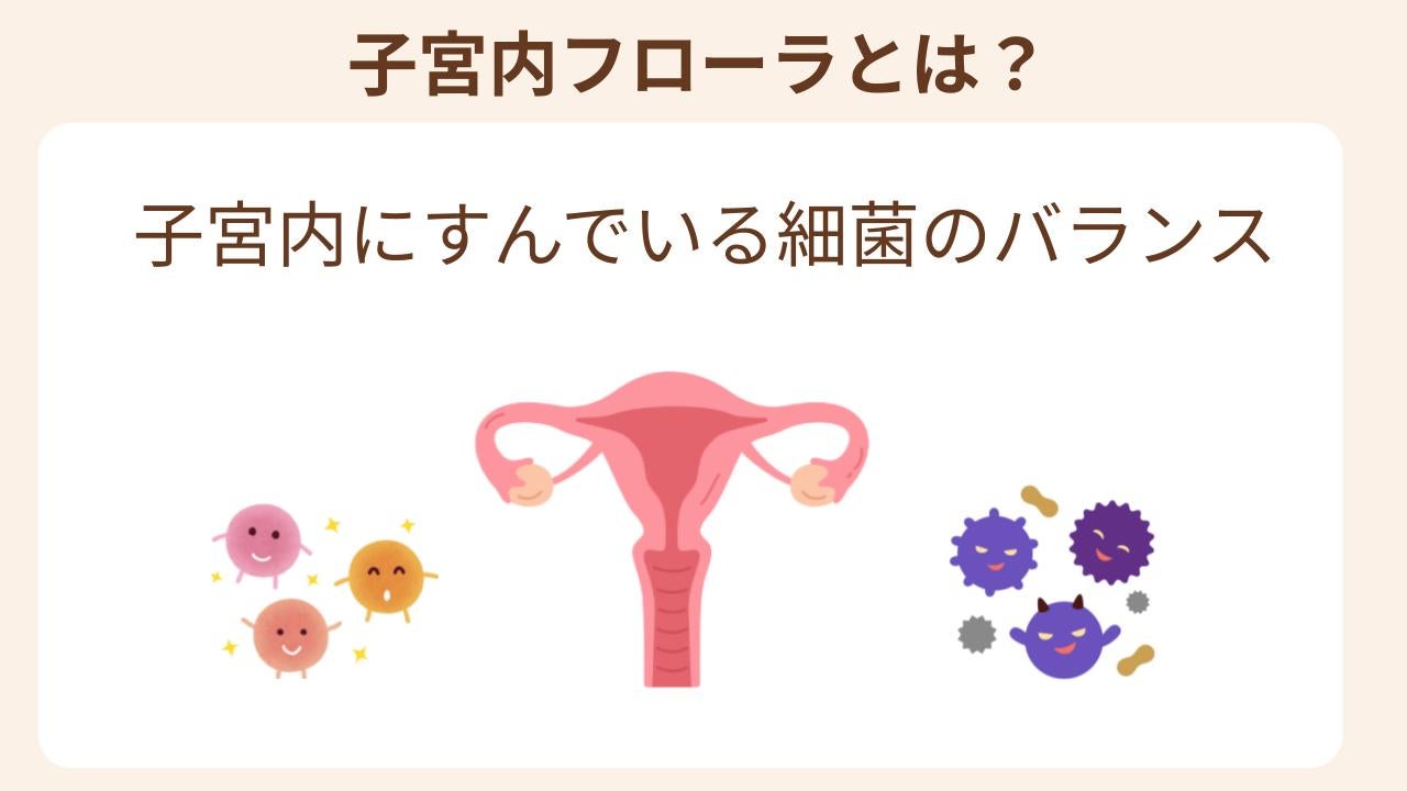 子宮内にすんでいる細菌のバランス