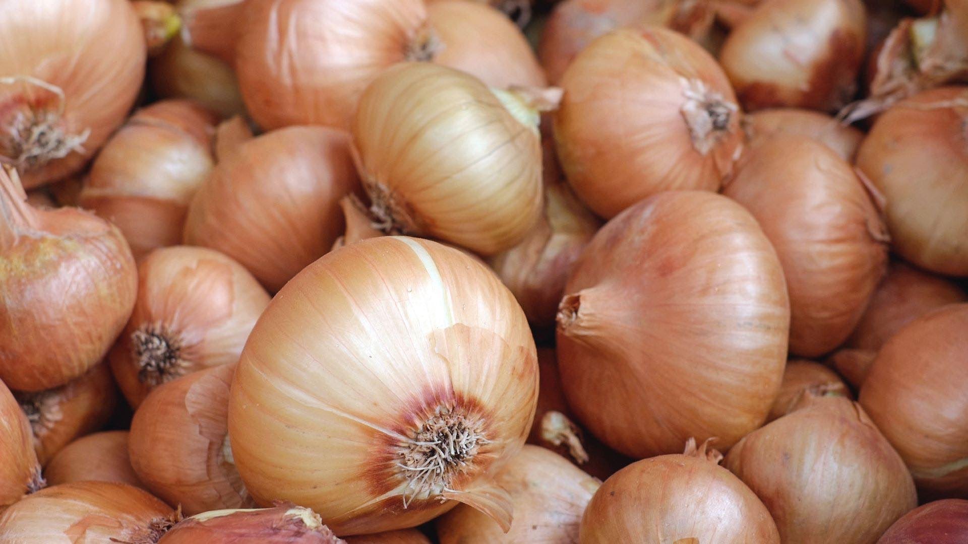 オリゴ糖を含む食品は善玉菌の餌となり、善玉菌の増殖や活性化に有効です
