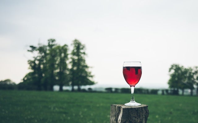 妊娠中は少量のお酒なら大丈夫？